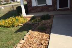 IMG_1623-1-rotated IMG_1623-1-rotated