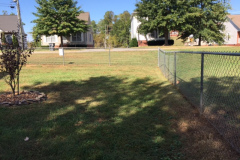 IMG_1641-1 IMG_1641-1