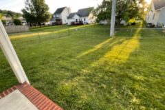 IMG_0595